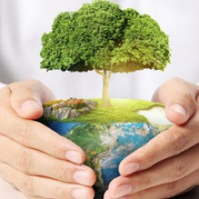 Информационный бюллетень «Экологический индикатор»